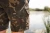 10.webp