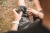 12.webp