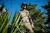 11.webp