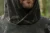 9.webp