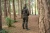 11.webp