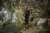 9.webp