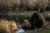 15.webp