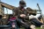 14.webp
