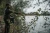 12.webp