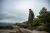 14.webp