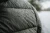 15.webp