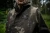 11.webp