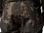 3.webp