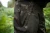8.webp