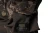 4.webp