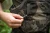 19.webp