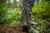 21.webp