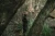 15.webp