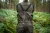 20.webp