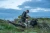 18.webp