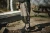11.webp