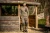 12.webp