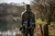 16.webp