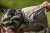 17.webp