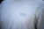 8.webp