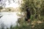 8.webp