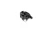 4.webp