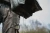 11.webp