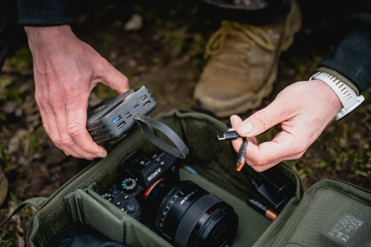 12.webp
