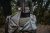 9.webp