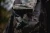11.webp