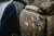 10.webp