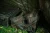 8.webp