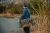 5.webp