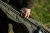 13.webp