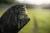 15.webp
