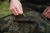 14.webp