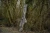 10.webp