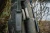 15.webp