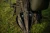 11.webp