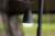 7.webp