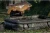 10.webp
