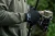 4.webp