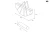 11.webp