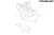 10.webp