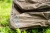 15.webp