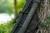 9.webp