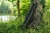 12.webp