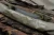 13.webp