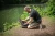 14.webp